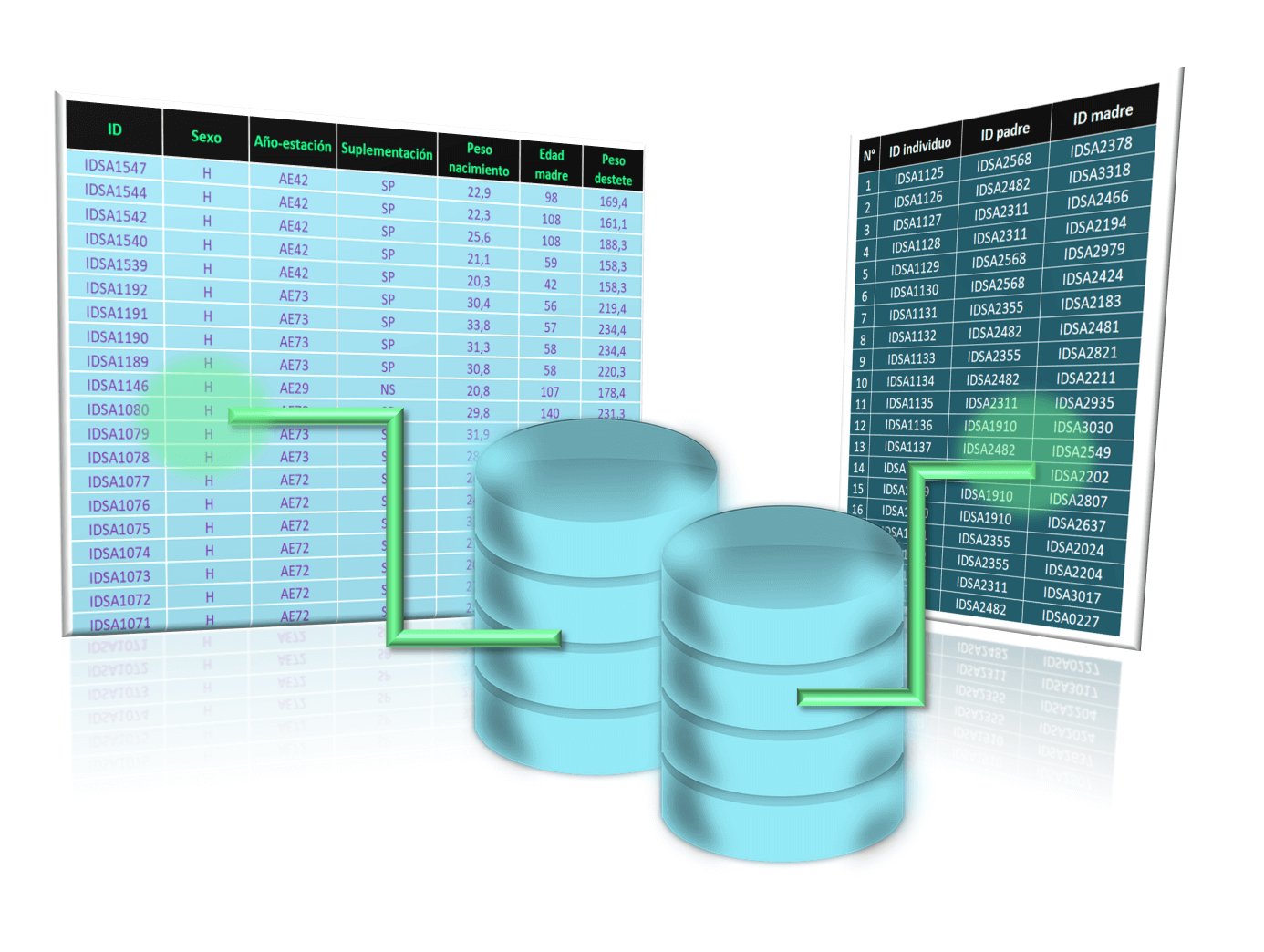 imagen bases de datos ganadería