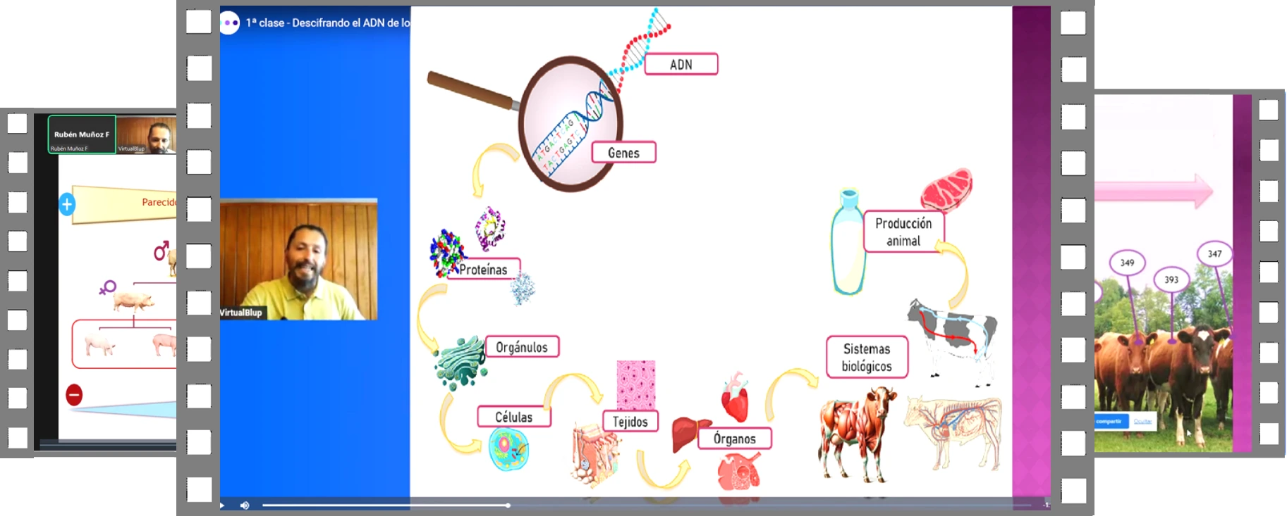 imagen de clase on-line
