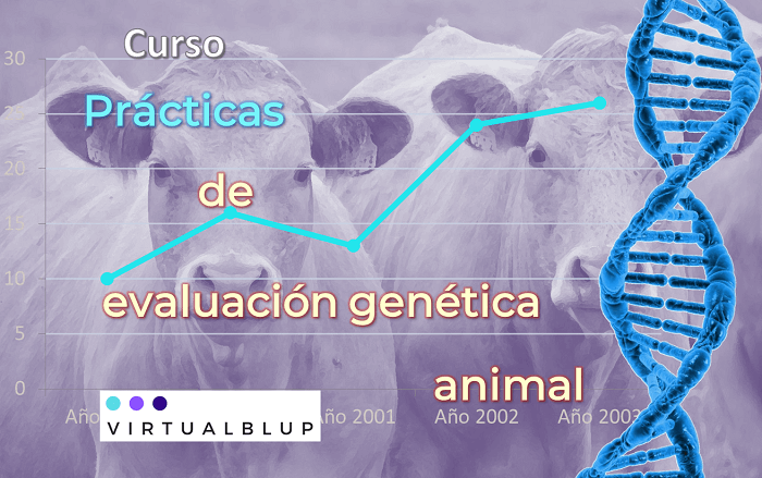 imagen curso Prácticas de evaluación genética animal