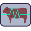 evaluación genética animal